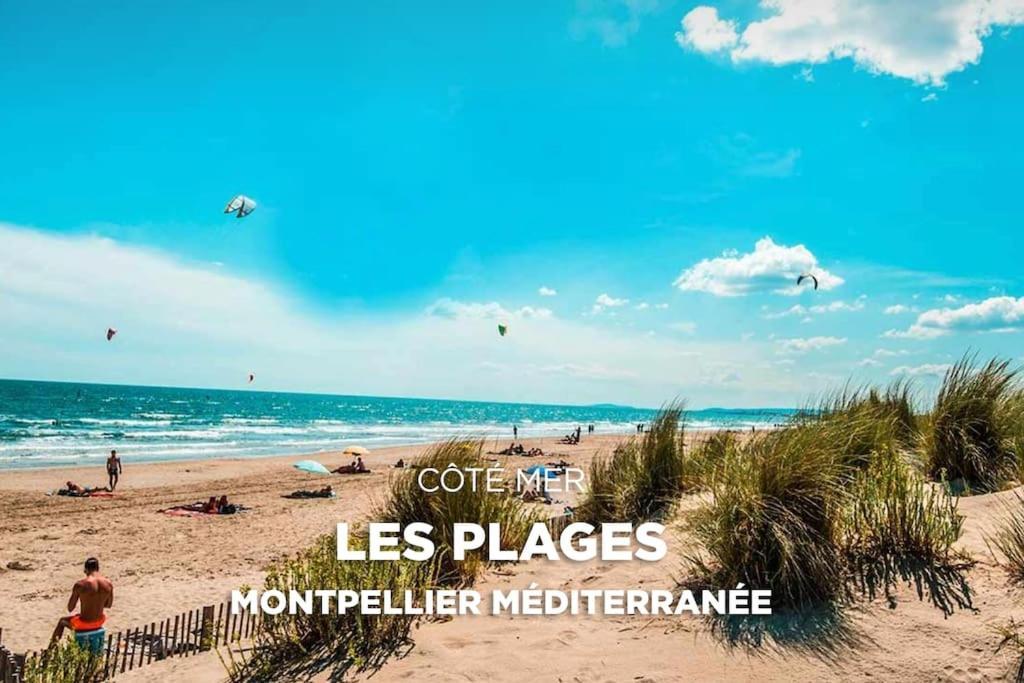 Apartment Between City Center And Beachs Montpellier Exterior foto